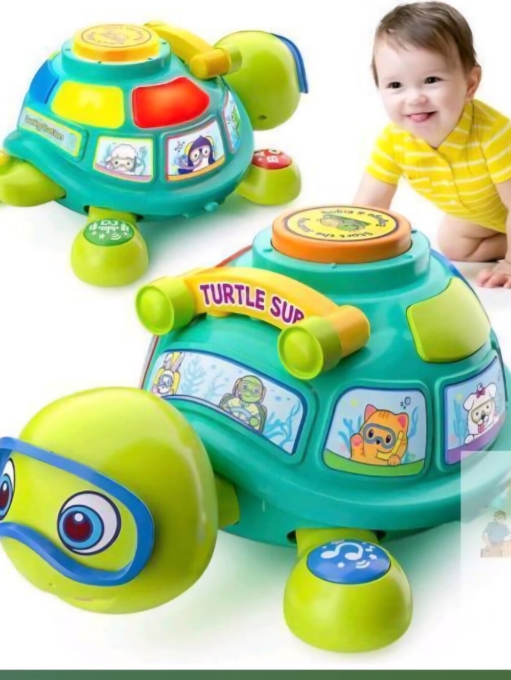 Educational Toy Musical Crawing Turtle